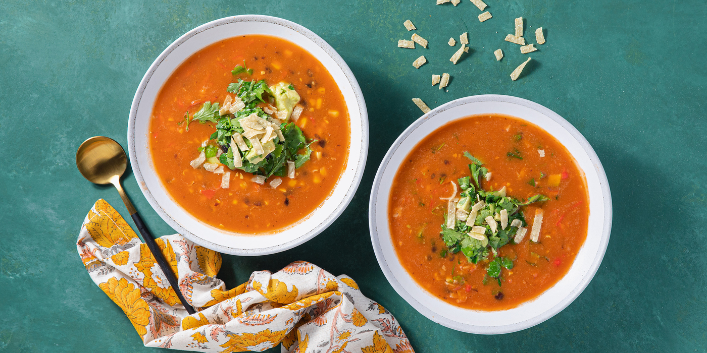 Blender Tortilla Soup PlantBased Recipes