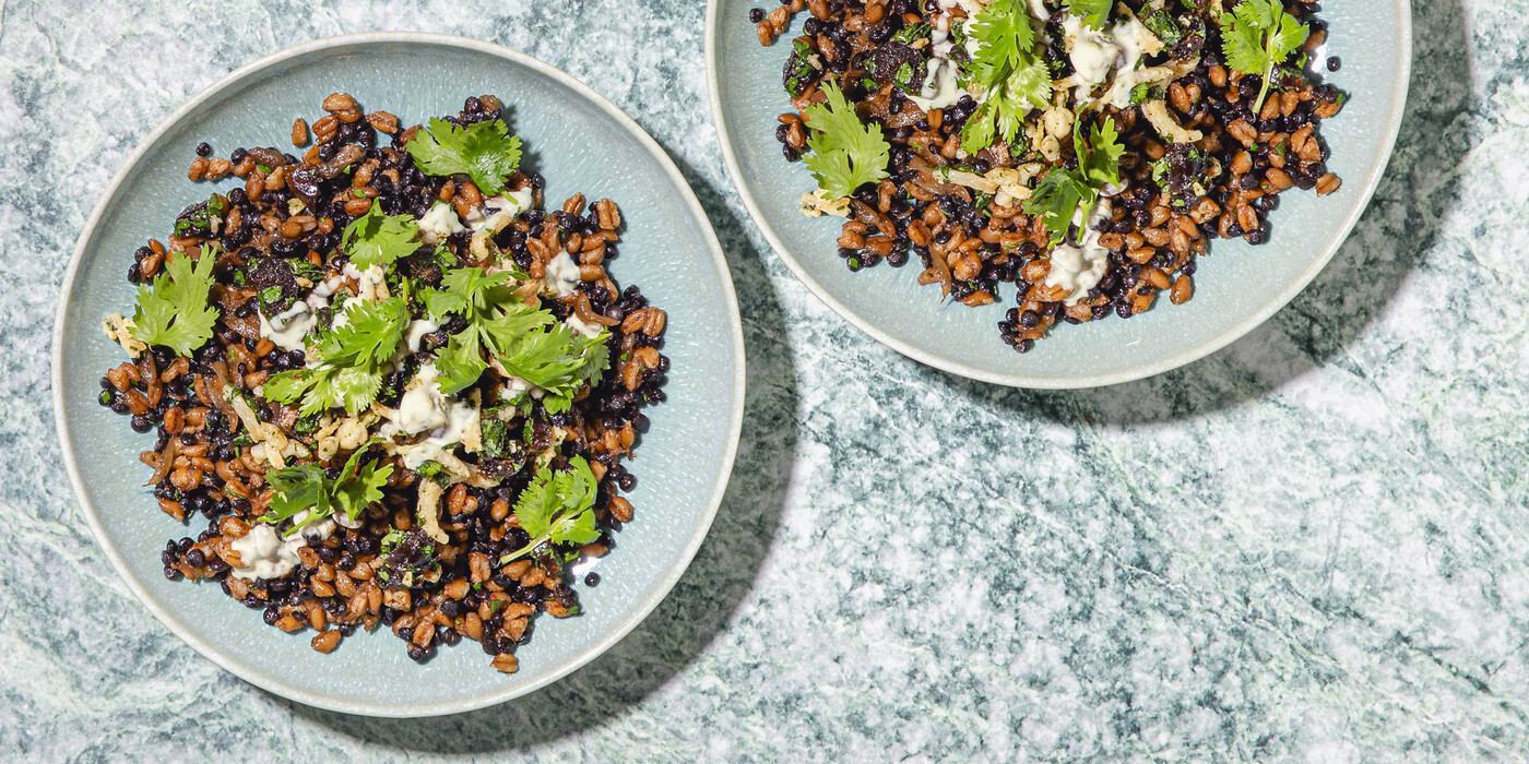 Mujadara-Style Farro beluga lentils, crispy dates, cilantro crema