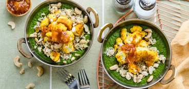 368 173 vegan saag hero 1