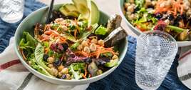 268 126 vegan mezzebowl hero 1