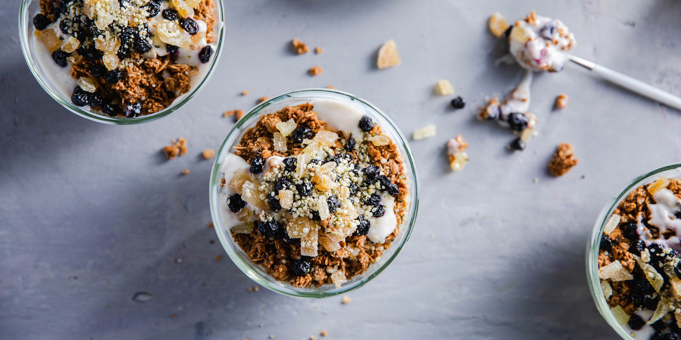 Vanilla Yogurt Bowls with Crystalized Ginger & Dried Blueberries Vanilla Yogurt Bowls with Crystalized Ginger & Dried Blueberries