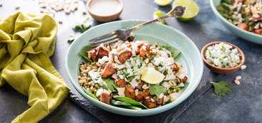 368 173 38a5 vegan chaat hero 4